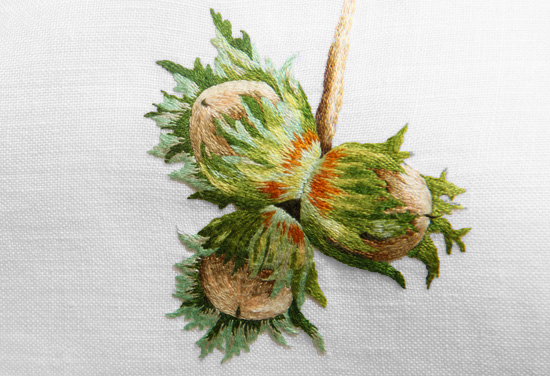 territorio-autunno-natura-nocciol